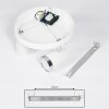 Idlewild Plafondlamp LED Chroom, Wit, 3-lichts