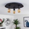 Esbjerg Plafondlamp Zwart, 3-lichts