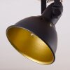 Tina Plafondlamp Hout donker, Zwart, 2-lichts