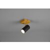 Trio Marley Spotlamp Hout licht, 1-licht Trio Marley Spotlamp Hout licht, 1-licht