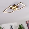 Thara Plafondlamp LED Zwart, 1-licht