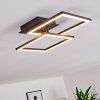 Thara Plafondlamp LED Zwart, 1-licht