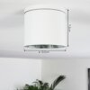 Macoupin Plafondlamp Wit, 1-licht