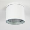 Macoupin Plafondlamp Wit, 1-licht