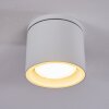 Macoupin Plafondlamp Wit, 1-licht