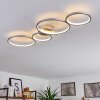 Rodekro Plafondlamp LED Nikkel mat, 4-lichts