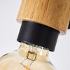 Sezze Muurlamp Zwart, 1-licht