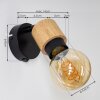 Sezze Muurlamp Zwart, 1-licht
