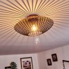 Wemude Plafondlamp Koperkleurig, Zwart, 1-licht