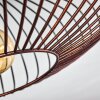 Wemude Plafondlamp Koperkleurig, Zwart, 1-licht
