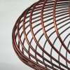 Wemude Plafondlamp Koperkleurig, Zwart, 1-licht