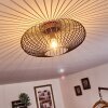 Wemude Plafondlamp Koperkleurig, Zwart, 1-licht