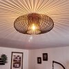 Wemude Plafondlamp Koperkleurig, Zwart, 1-licht