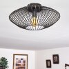 Wemude Plafondlamp Zwart-Goud, 1-licht