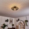 Wemude Plafondlamp Zwart-Goud, 1-licht