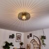 Wemude Plafondlamp Zwart-Goud, 1-licht