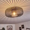 Wemude Plafondlamp Zwart-Goud, 1-licht