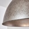 Tholen Hanger Bruin, Zilver, 1-licht
