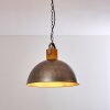 Tholen Hanger Bruin, Zilver, 1-licht