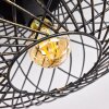Wemude Plafondlamp Zwart-Goud, 1-licht