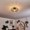 Wemude Plafondlamp Zwart-Goud, 1-licht