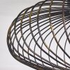 Wemude Plafondlamp Zwart-Goud, 1-licht
