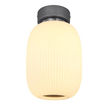 Globo  Plafondlamp LED Antraciet, Nikkel mat, 1-licht