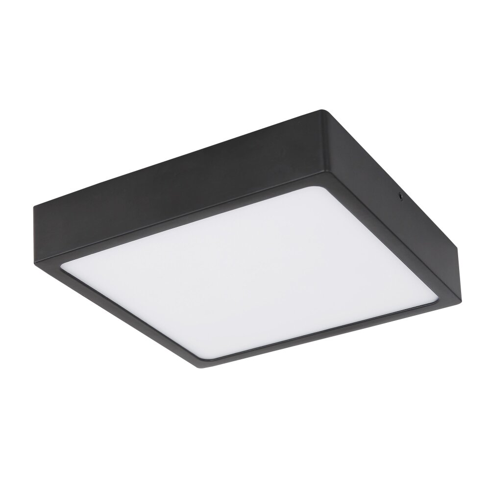 Globo ECHO Plafondlamp LED Zwart, 1-licht main product photo