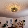 Wemude Plafondlamp Zwart, 1-licht