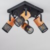 Lenalau Plafondlamp Zwart, 4-lichts