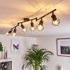 Baripada Plafondlamp Zwart, 6-lichts