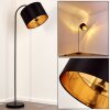 Pattburg Staande lamp Zwart, 1-licht Pattburg Staande lamp Zwart, 1-licht