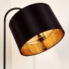 Pattburg Staande lamp Zwart, 1-licht Pattburg Staande lamp Zwart, 1-licht