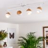 Kotaoa Plafondlamp LED Wit, 4-lichts