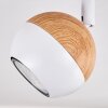Kotaoa Plafondlamp LED Wit, 1-licht