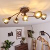 Warga Plafondlamp LED Brons, 5-lichts