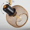 Pipisu Plafondlamp Goud, Messing, Zwart, 4-lichts