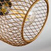 Pipisu Plafondlamp Goud, Messing, Zwart, 4-lichts
