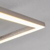 Chilkat Plafondlamp LED Nikkel mat, 1-licht
