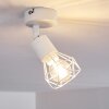Baripada Plafondlamp Wit, 1-licht
