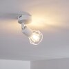 Baripada Plafondlamp Wit, 1-licht