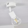 Baripada Plafondlamp Wit, 1-licht