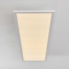 Salmi Plafondlamp LED Wit, 1-licht, Afstandsbediening