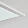 Salmi Plafondlamp LED Wit, 1-licht, Afstandsbediening