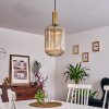Paeni Hanger Goud, Messing, Zwart, 1-licht