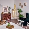 Paeni Hanger Goud, Messing, Zwart, 1-licht