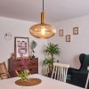 Paeni Hanger Goud, Messing, Zwart, 1-licht