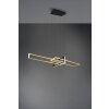 Trio Salinas Hanglamp LED Zwart, 1-licht