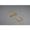 Trio Salinas Hanglamp LED Zwart, 1-licht