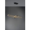 Trio Salinas Hanglamp LED Zwart, 1-licht